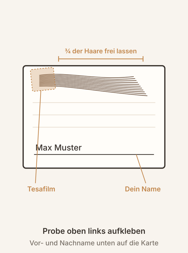 Probe auf die Karte kleben