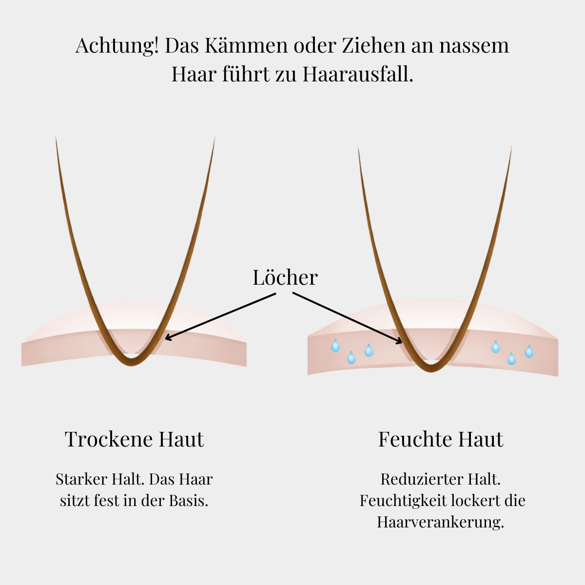 Thin Skin 0.06 / V-Loop